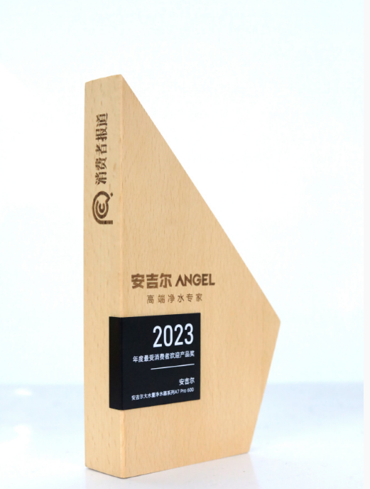 安吉尔A7 Pro 600荣获“2023年度最受消费者欢迎产品奖”