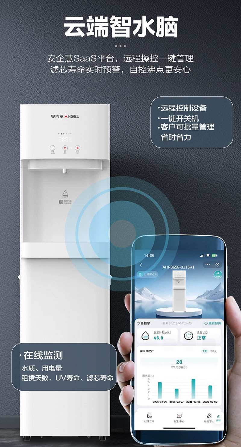 详情_003.jpg